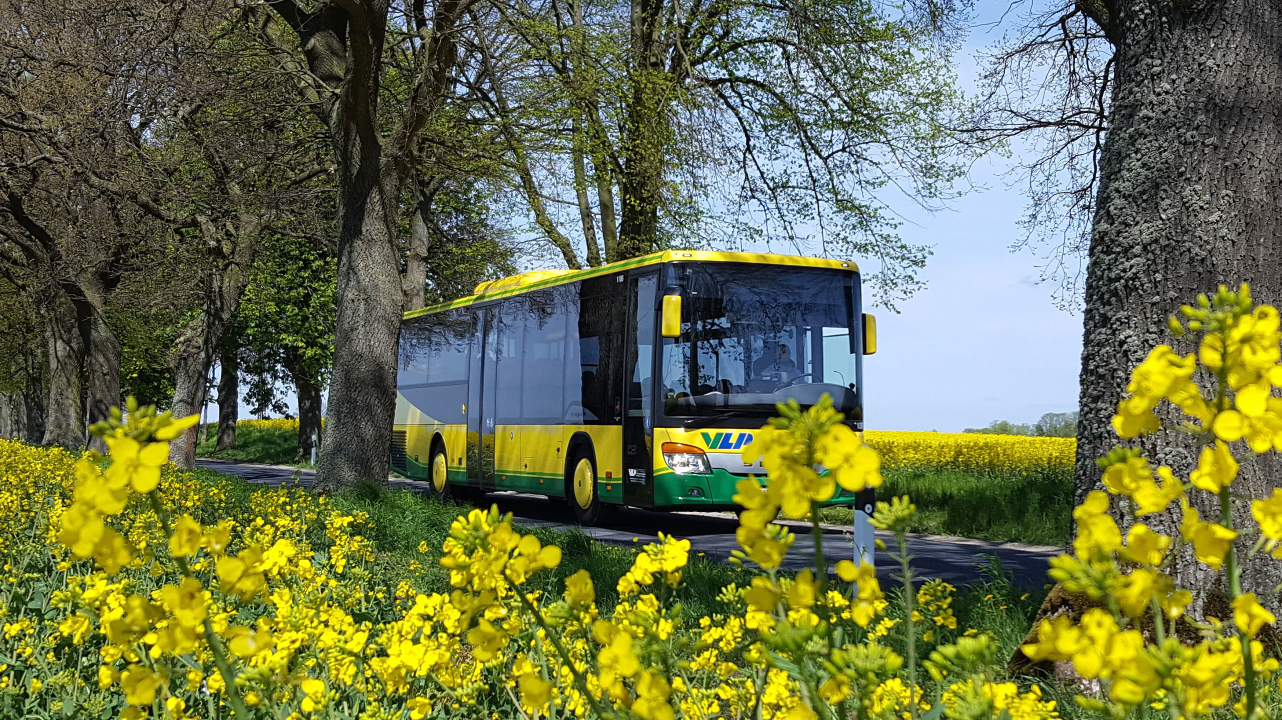 VLP-Linienbus-Saisonverkehr